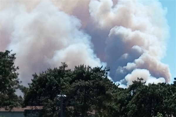 Muğla’da orman yangınlarıyla mücadele