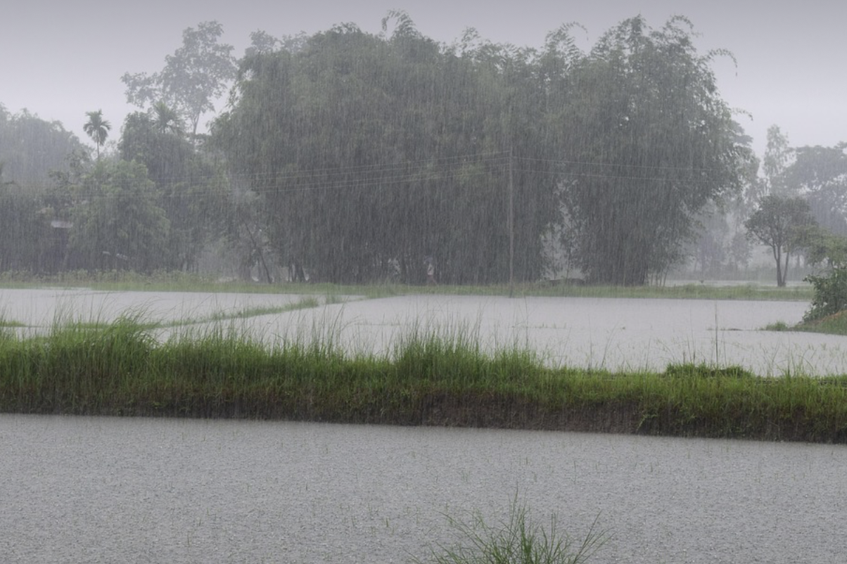 Giresun’da aşırı yağışlar sel ve heyelanlara yol açtı