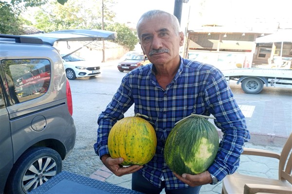 Ata tohumundan üretilen kara kavun dönüme 3 ton ürün veriyor