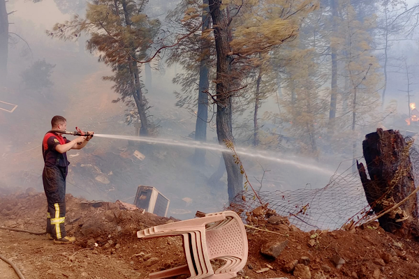 Büyükşehir itfaiyesinden  Milas ve Köyceğiz’de orman yangınlarına müdahale