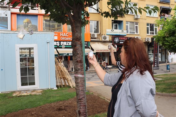 Sabri Yalım Parkı’ndaki ağaçlar pişmaniyeyle süslendi