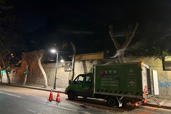 Beşiktaş’ta hasta çınar ağaçlarına müdahale edildi