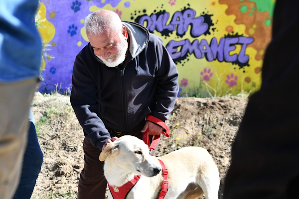 Mamak’ta sokak hayvanlarına modern yaşam alanları