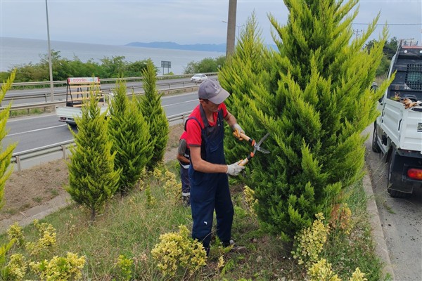 Ordu’da peyzaj düzenlemeleri devam ediyor