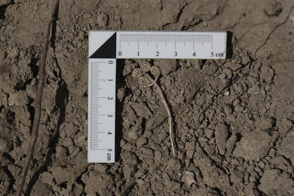 Troya’da 4 bin 500 yıllık altın broş ve ender yeşim taşı gün ışığına çıkarıldı