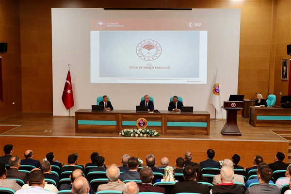 Ordu’da kahverengi kokarca ile mücadele