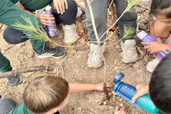 Ekol Koleji öğrencileri, yangında hasar gören alanlara fidan dikti