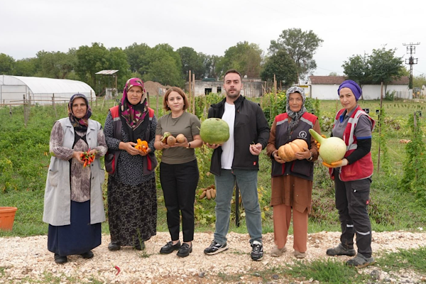 Düzce’de Ata Tohumu yetiştiriciliğinde ilk hasat yapıldı