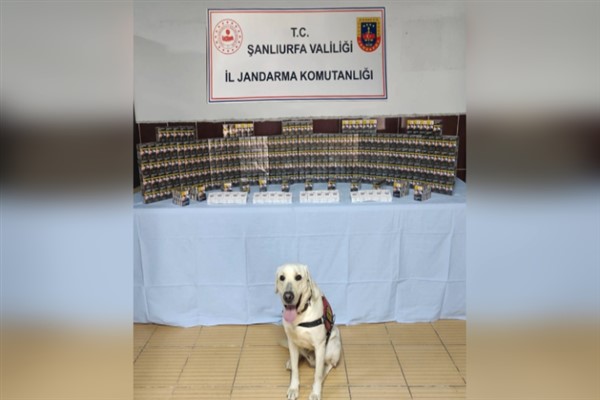 Şanlıurfa’da bin 320 adet gümrük kaçağı sigara ele geçirildi