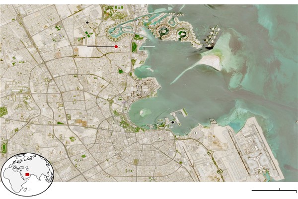 Katar Başbakanı: İsrail hava saldırıları Gazze’deki rehineler için her türlü umudu öldürdü