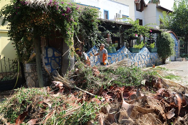 Marmaris Belediyesi, ağaçlarda budama ve güvenlik çalışmaları yapıyor