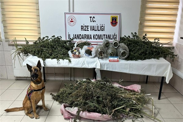 Rize’de uyuşturucu operasyonlarında 89 şüpheli yakalandı