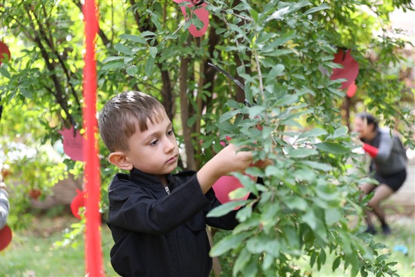 Zarokistan Kreş ve Gündüz Bakım Evi’nde Nar Festival kutlandı