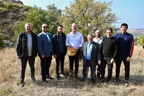 Karacabey Belediyesi, alıç meyvesini dünya pazarında tanıtacak