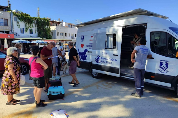 Bodrum Belediyesi’nden sokak hayvanlarıyla ilgili açıklama