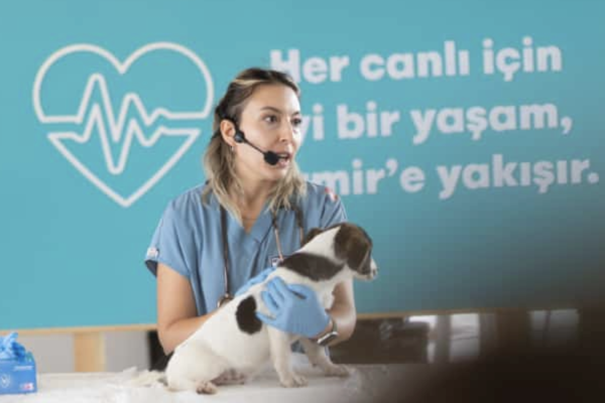 İzmir’de 4 Ekim Dünya Hayvanları Koruma Günü etkinliği