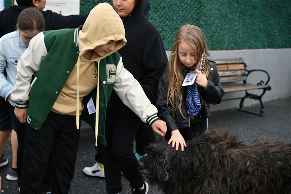 Beylikdüzü’nde öğrencilerden sokak hayvanlarına ziyaret