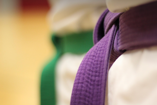 Akgül, Dünya Taekwondo Şampiyonası’nda ikinci oldu