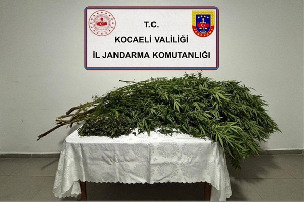 Kocaeli’nde kaçakçılık ve uyuşturucu operasyonları