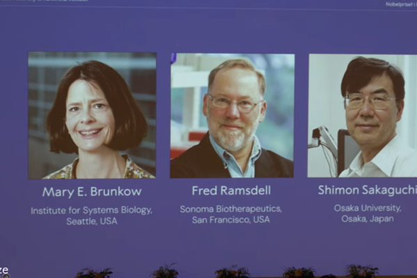 Nobel 2025 Tıp Ödülü 3 bilim insanı  tarafından paylaşıldı