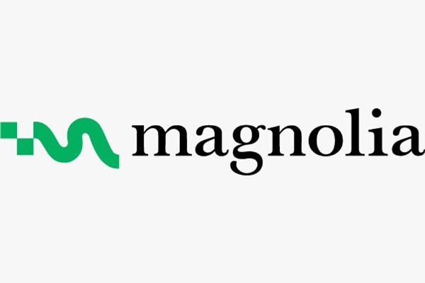 Magnolia, Luc Haldimann’ı yönetim kurulu başkanı olarak atadı