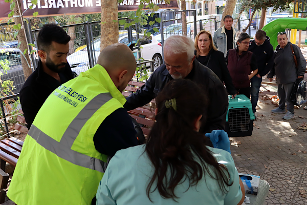 Maltepe’de sokak hayvanlarına yerinde tedavi hizmeti