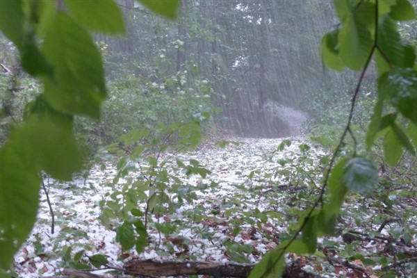 Meteoroloji’den Orta Karadeniz ve İç Anadolu için kuvvetli yağış ve rüzgâr uyarısı