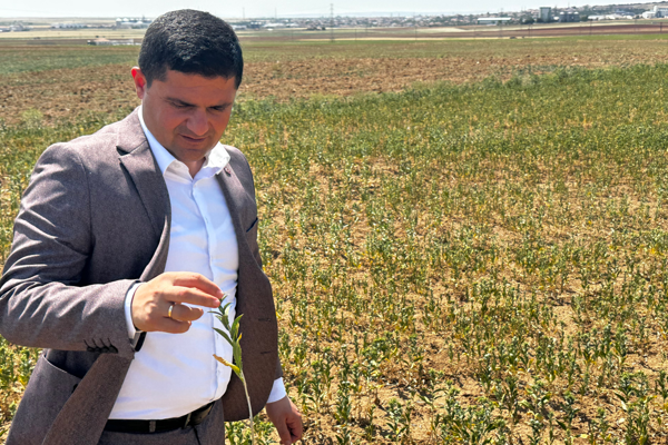 Başkan Koçak: Tarımsal üretim projelerini destekliyoruz