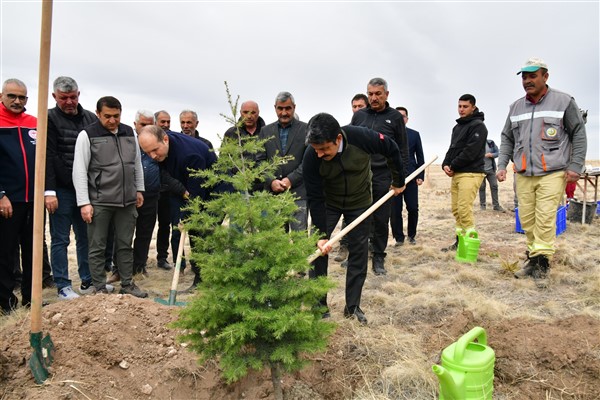 Üçkuyu Köyü’nde fidan dikimi gerçekleştirildi