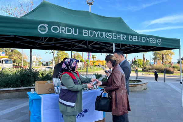 Ordu’da 2 bin adet fidan toprakla buluştu