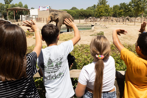 İzmir Doğal Yaşam Parkı’na ara tatilde ziyaretçi akını