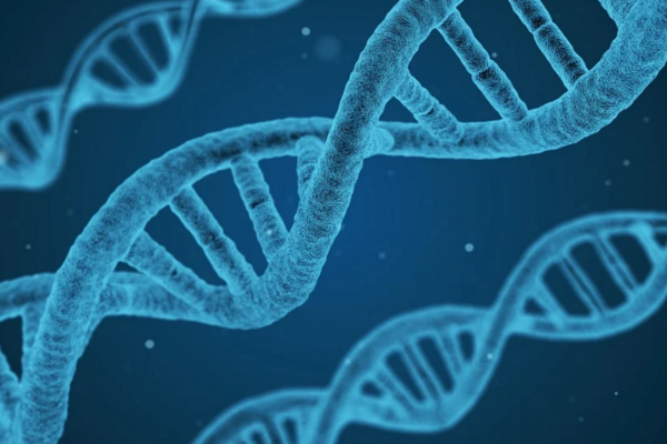 Hitler’in DNA analizi: Otizm, şizofreni ve bipolar bozukluğa yatkındı