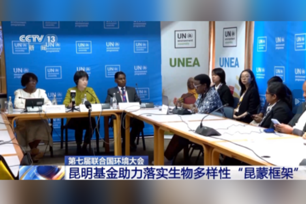 UNEP: Kunming Biyoçeşitlilik Fonu tam kapasite devrede, Çin’in rolüne teşekkürler