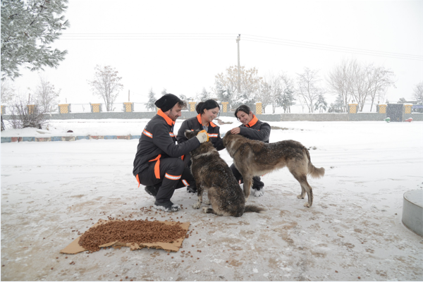 Diyarbakır’da sokak hayvanları için 50 noktaya mama bırakıldı