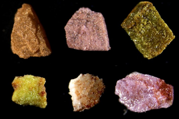 Trump, Çin’e karşı 5 müttefiki bir araya getiriyor