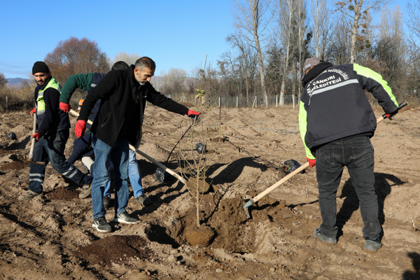 Çankırı’da atıl araziler, verimli tarım arazilere dönüştürülüyor