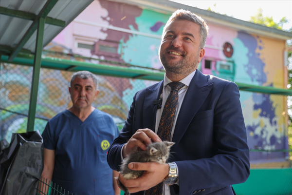 2025’te Buca’da 300 sokak hayvanı sahiplendirildi
