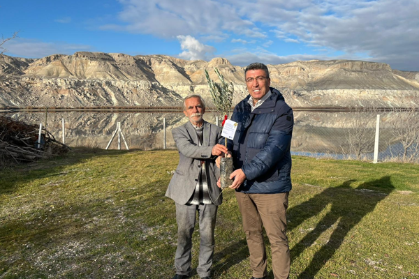 Eskişehir’de üreticilere mavi sertifikalı zeytin fidanı dağıtıldı