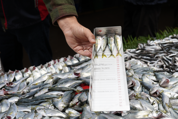 Maltepe’de balık denetimi