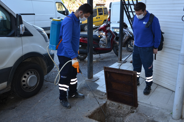 Alanya’da vektörel mücadele çalışmaları devam ediyor