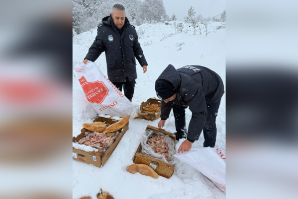 Yozgat Belediyesi Zabıtası, yabani hayvanlar için doğaya yemek bıraktı