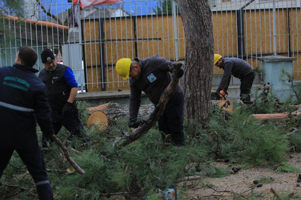 Osmangazi Belediyesi’nden lodosa karşı müdahale
