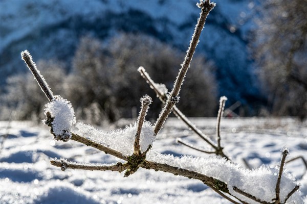 Malatya’da yoğun kar yağışı nedeniyle eğitime 1 gün ara verildi