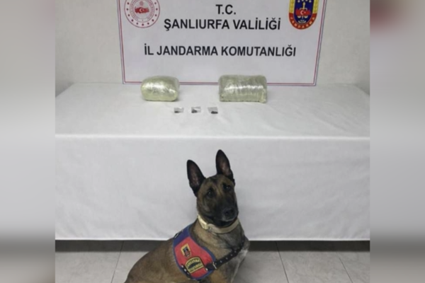 Şanlıurfa ‘da uyuşturucu operasyonu
