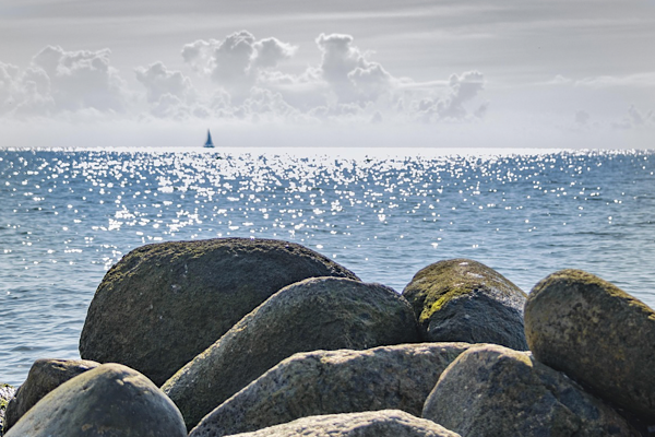 Sarıyer’de kayalıklardan düşen kazazede kurtarıldı