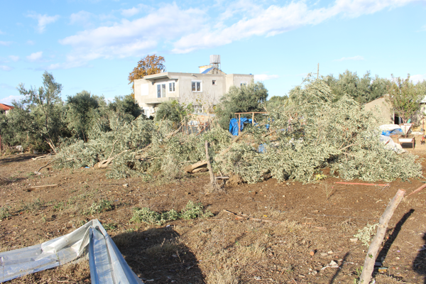 Manavgat’ta hasar tespit çalışması yapıldı