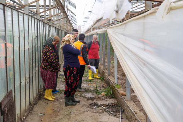 Antalya’da afetten zarar gören seralarda hasar tespiti yapılıyor