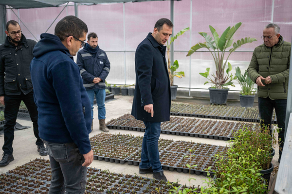 Bornova Belediyesi, fidanlığında bitki üretimini sürdürüyor