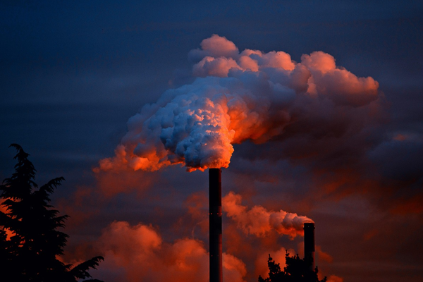 BM: Çevre kirliliği her yıl yaklaşık 9 milyon ölüme neden oluyor