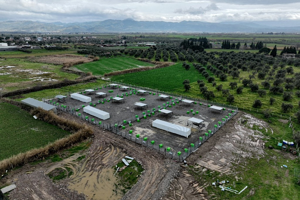 Edremit’te sokak hayvanları için yeni alan oluşturuluyor